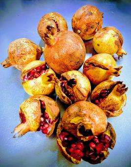 ザクロ ザクロ,ざくろ,秋の写真素材