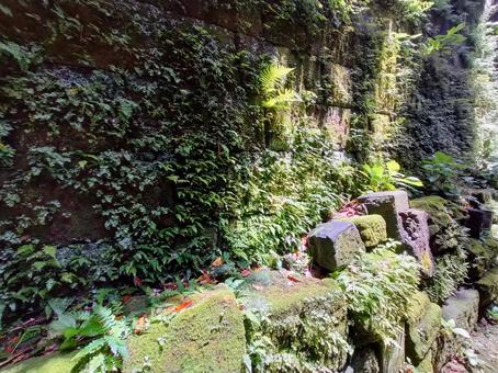 Mossy ruins 2, JPG