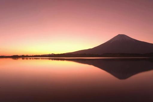 富士山　日の出 富士山,山,日の出の写真素材