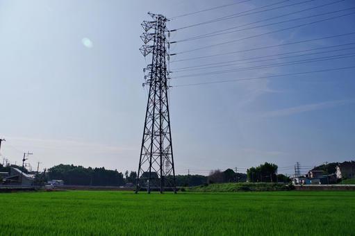 水田のある夏の田舎の風景 水田のある夏の田舎の風景 田園風景,田園,水田の写真素材