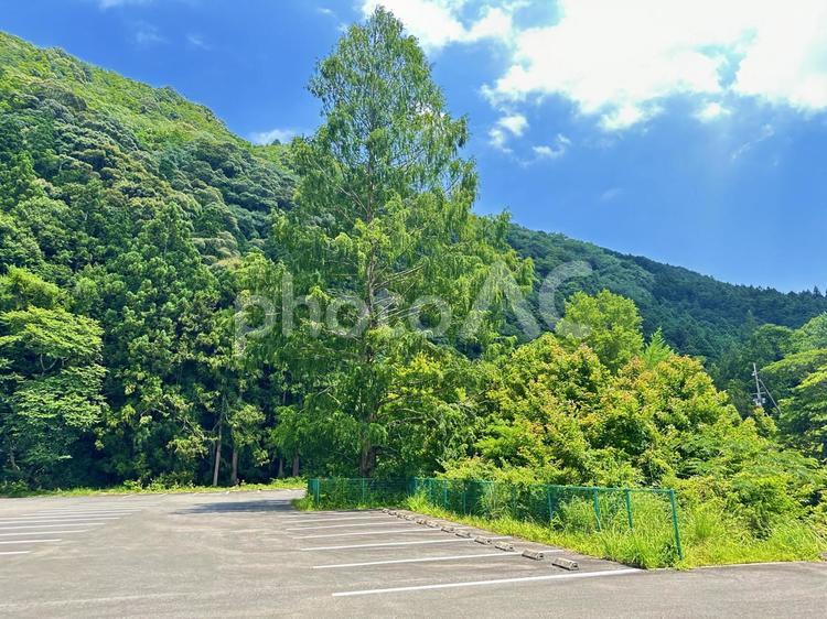 故郷　里山　田舎の山 風景,自然,景色の写真素材