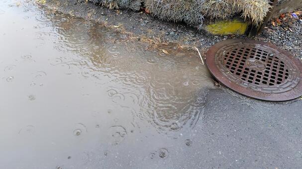 大雨の水たまり 雨,大雨,悪天候の写真素材