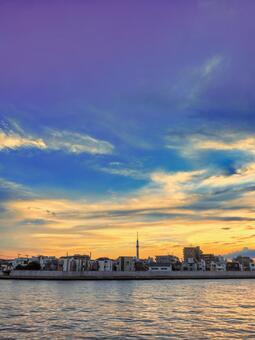 中川越しの夕焼け雲とスカイツリー 中川,夕焼け雲,スカイツリーの写真素材