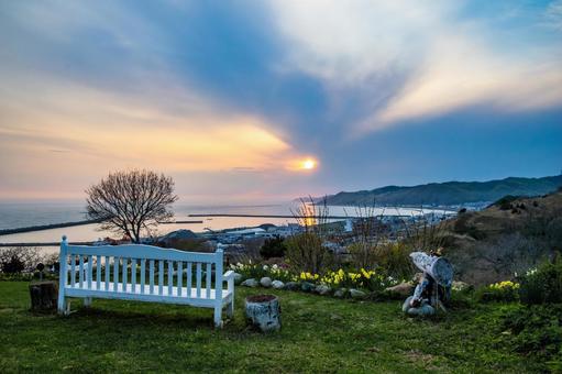 夕暮れのルピナスの丘1 夕暮れのルピナスの丘1 ルピナスの丘,夕暮れ,夕陽の写真素材