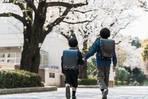 Elementary school upper grades and elementary school first graders who go to school holding hands under the cherry tree, 1 year old, primary school students, upper grades, JPG