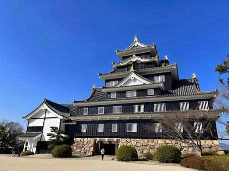 備前岡山城天守 岡山城,岡山市,岡山の写真素材