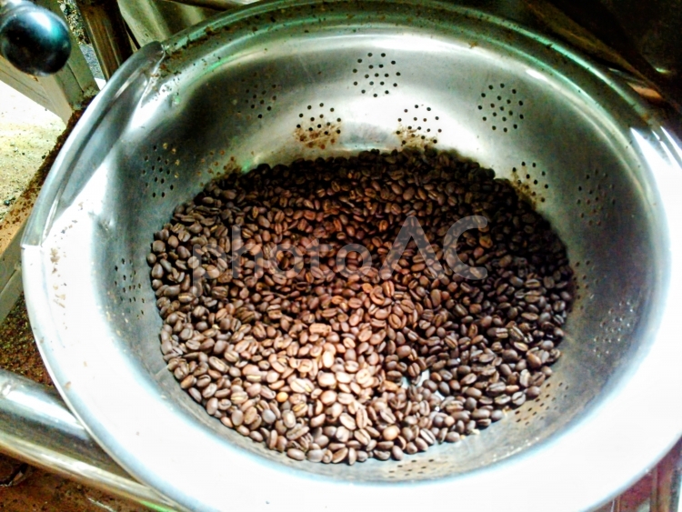 焙煎されたトラジャ・コーヒー豆 トラジャ・コーヒー,コーヒー豆,焙煎の写真素材