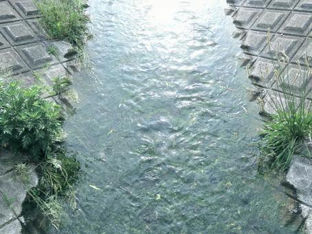 Photo, canal, water, waterway, 
