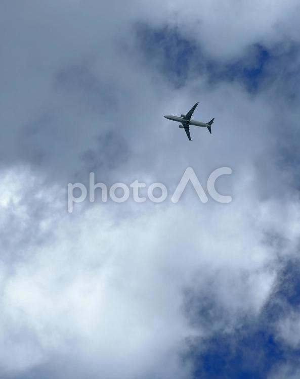 夏の青空と飛行機 青空,雲,飛行機の写真素材