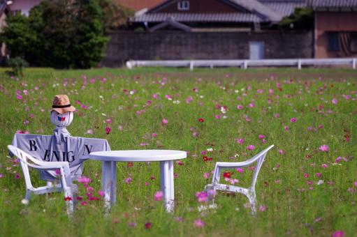 初秋に穏やかなひと時の写真