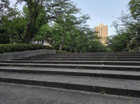 朝の階段 朝の階段 風景,景色,自然の写真素材