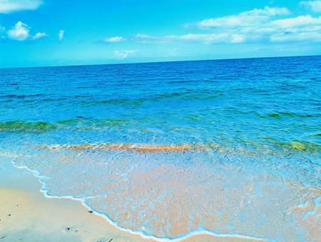 夏の爽やかな海 夏の爽やかな海の写真