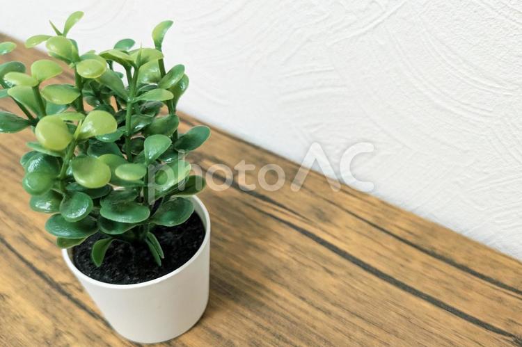 木のテーブルに置かれた植物(造花)_01 植物,観葉植物,グリーンの写真素材