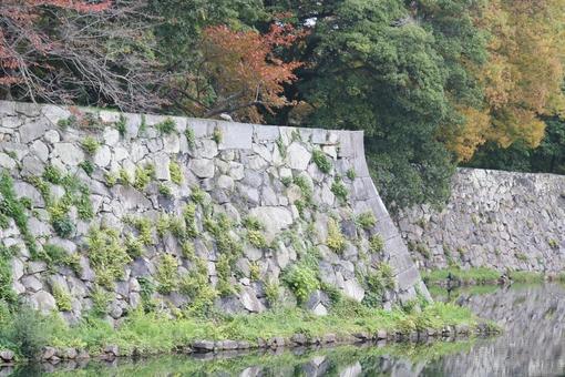 琵琶湖に繋がる水路 水路,堀,橋の写真素材