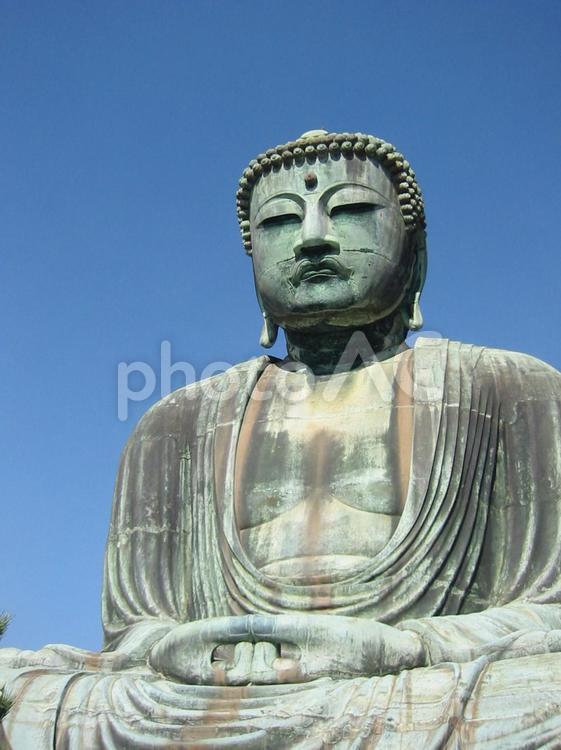 鎌倉の大仏 大仏,鎌倉,青空の写真素材