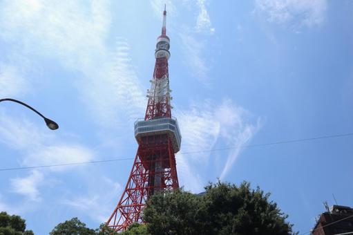 東京タワー 東京タワー 東京,都市風景,港区の写真素材
