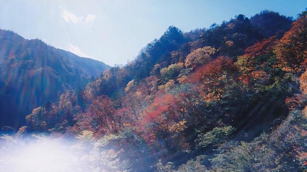 日光の紅葉② 日光の紅葉②の写真