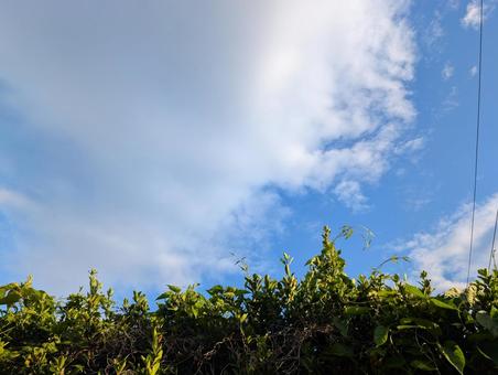 空 空の写真