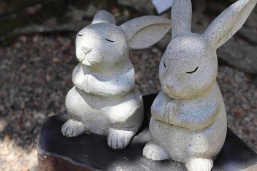 お祈りするうさぎ お祈りするうさぎ うさぎ,兎,ウサギの写真素材