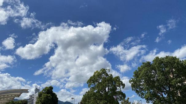 空 空の写真