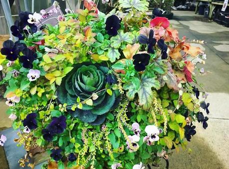 植物の束 植物の束の写真