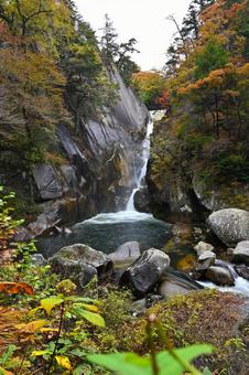秋の昇仙峡を流れる仙娥滝 秋の昇仙峡を流れる仙娥滝の写真