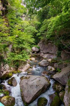 250527昇仙峡 山梨県,甲府市,昇仙峡の写真素材