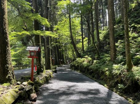 貴船神社の写真
