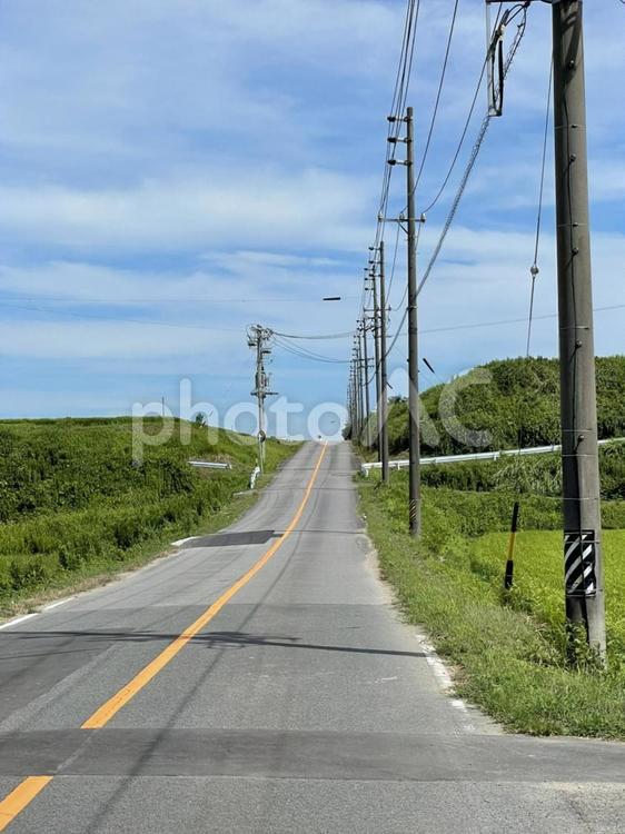 田舎　道　風景 夏,田んぼ,田園の写真素材