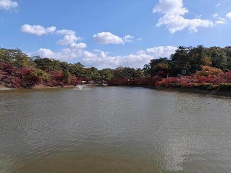愛知県-東公園-あしのべ池と紅葉 東公園,公園,あしのべ池の写真素材