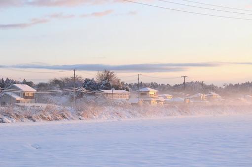 朝日に染まる住宅の写真
