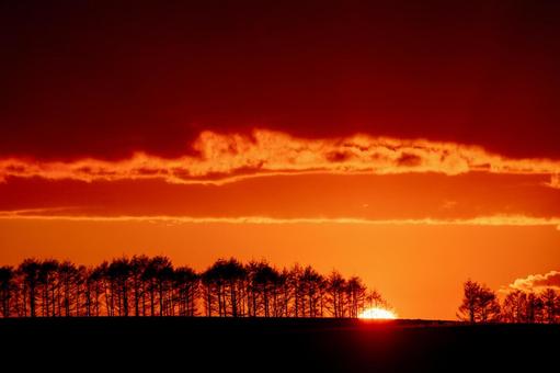 空を染め上げる燃えるような夕景 夕焼け,真っ赤な,牧場の写真素材
