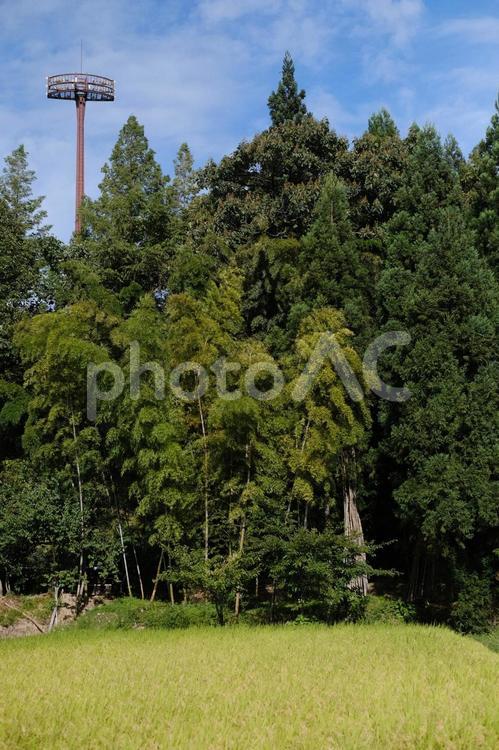 由利本荘市の風景 田んぼ,田園風景,田園の写真素材