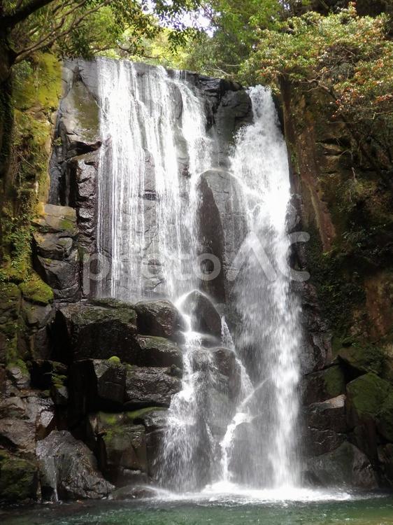 桑の木の滝 滝,滝百選,美しい滝の写真素材