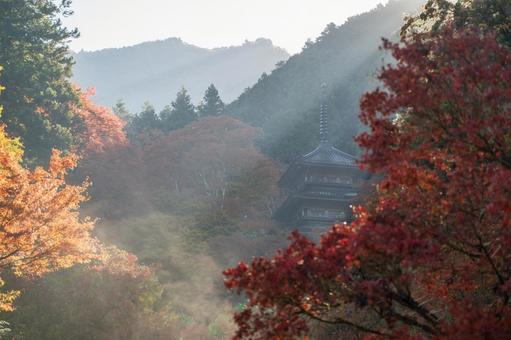高源寺（兵庫県丹波市）の朝 高源寺,兵庫県,丹波市の写真素材