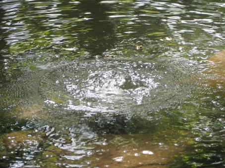 水辺の風景 湧き水 水辺の風景 湧き水の写真