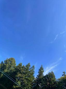 青空 青空の写真