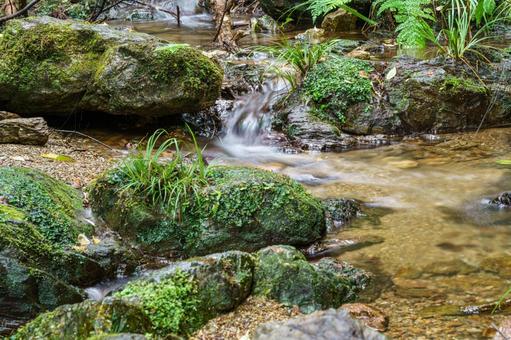 渓谷の清流の流れる小川 渓谷の清流の流れる小川の写真