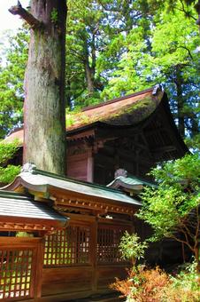 富山県-雄山神社-前立社壇-本殿 富山県-雄山神社-前立社壇-本殿の写真