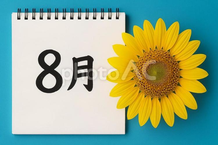 8月・ひまわりと夏のカレンダー・暑い日 ひまわり,8月,夏の写真素材
