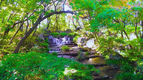 姫路城 好古園4 日本庭園,紅葉,日本家屋の写真素材