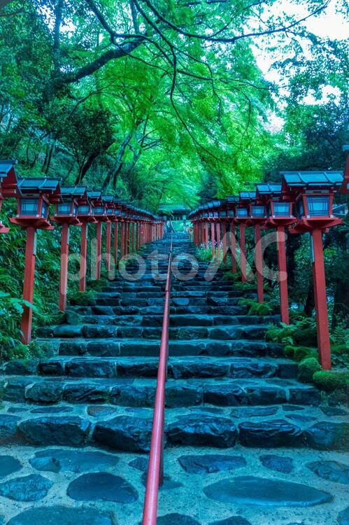 灯籠と石段 京都,神社,灯籠の写真素材