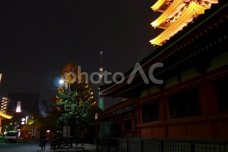 浅草　浅草寺界隈 浅草,浅草寺,東京の写真素材