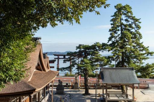 滋賀 白鬚神社 境内 滋賀 白鬚神社 境内 白鬚神社,白鬚,神社の写真素材