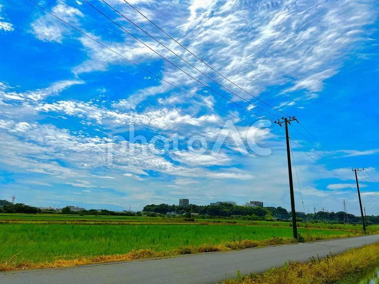 青空と田畑と風景 田んぼ,田舎,ブルースカイの写真素材