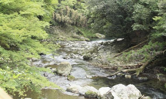 渓流 渓流 川,河川,自然の写真素材