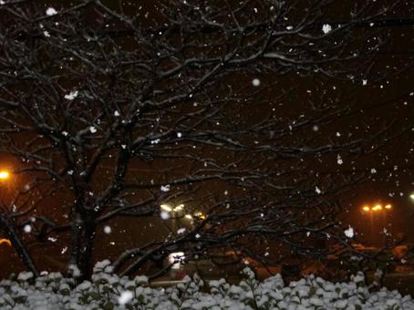 夜の雪のボケ背景-2 夜の雪のボケ背景-2 背景,ボケ,夜の写真素材
