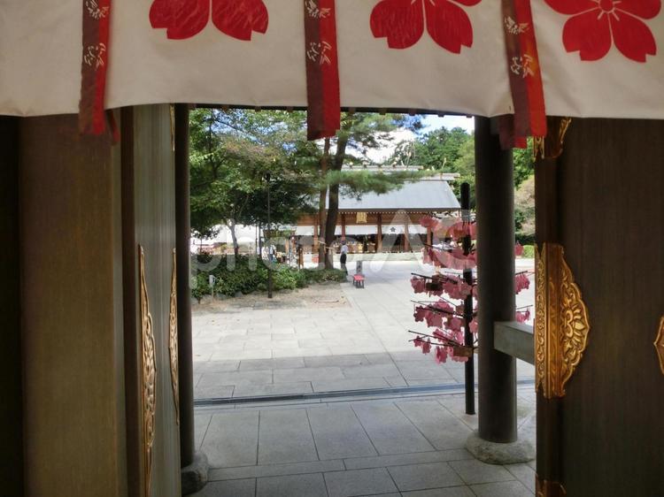 櫻木神社の風景-21 櫻木神社の風景-21 櫻木神社,千葉県野田市,神門の写真素材