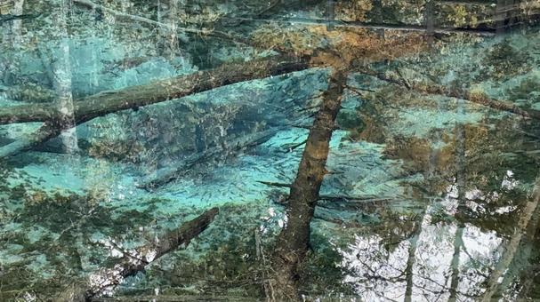 神の子池 北海道,神の子池,池の写真素材