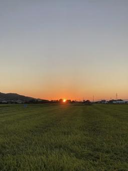 秋晴れの日の夕日(縦) 秋晴れの日の夕日(縦)の写真